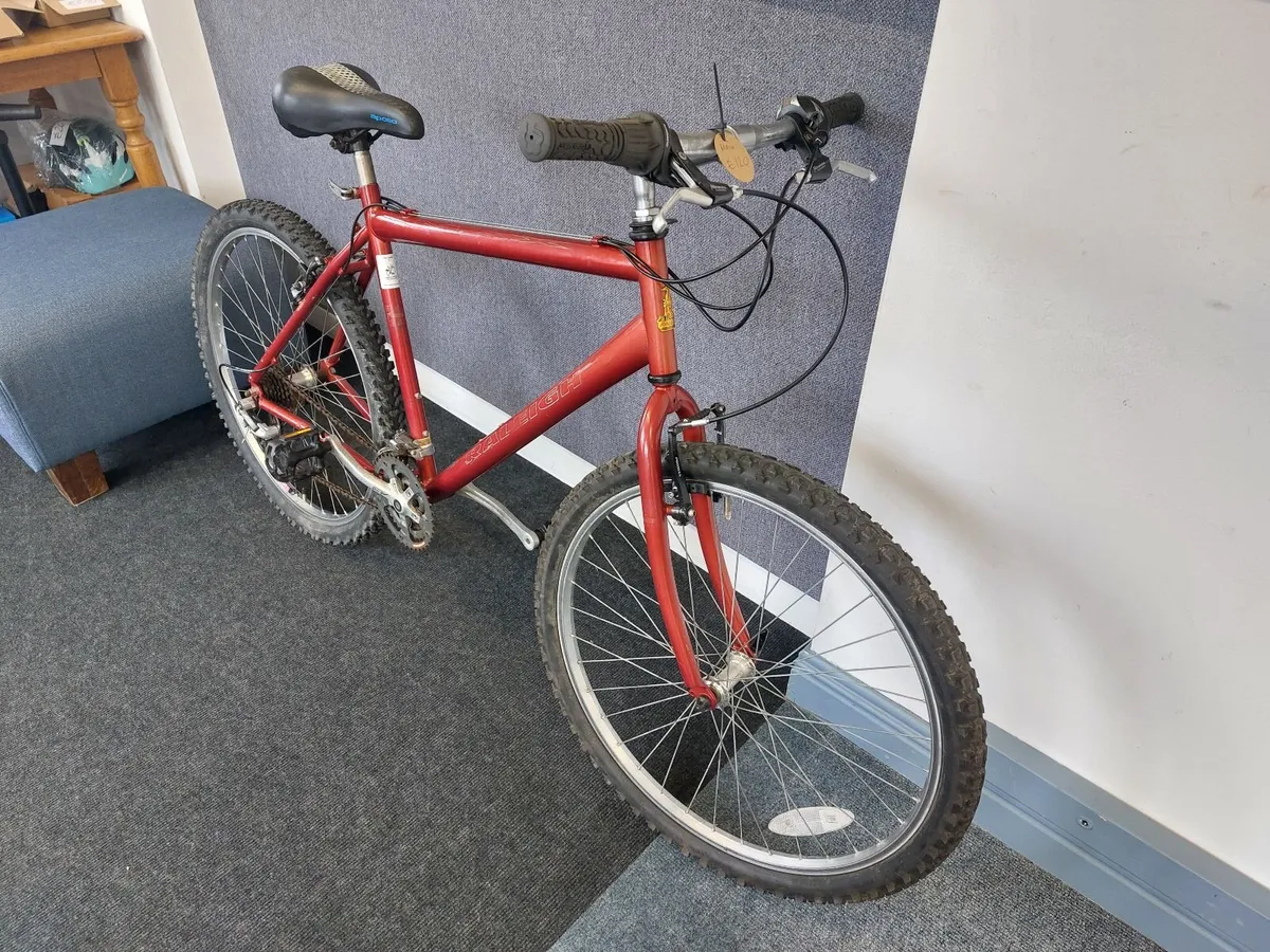 Raleigh Max - Image 2