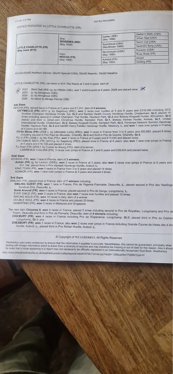 Well bred French TB Mare with Mirage Dancer foal - Image 3