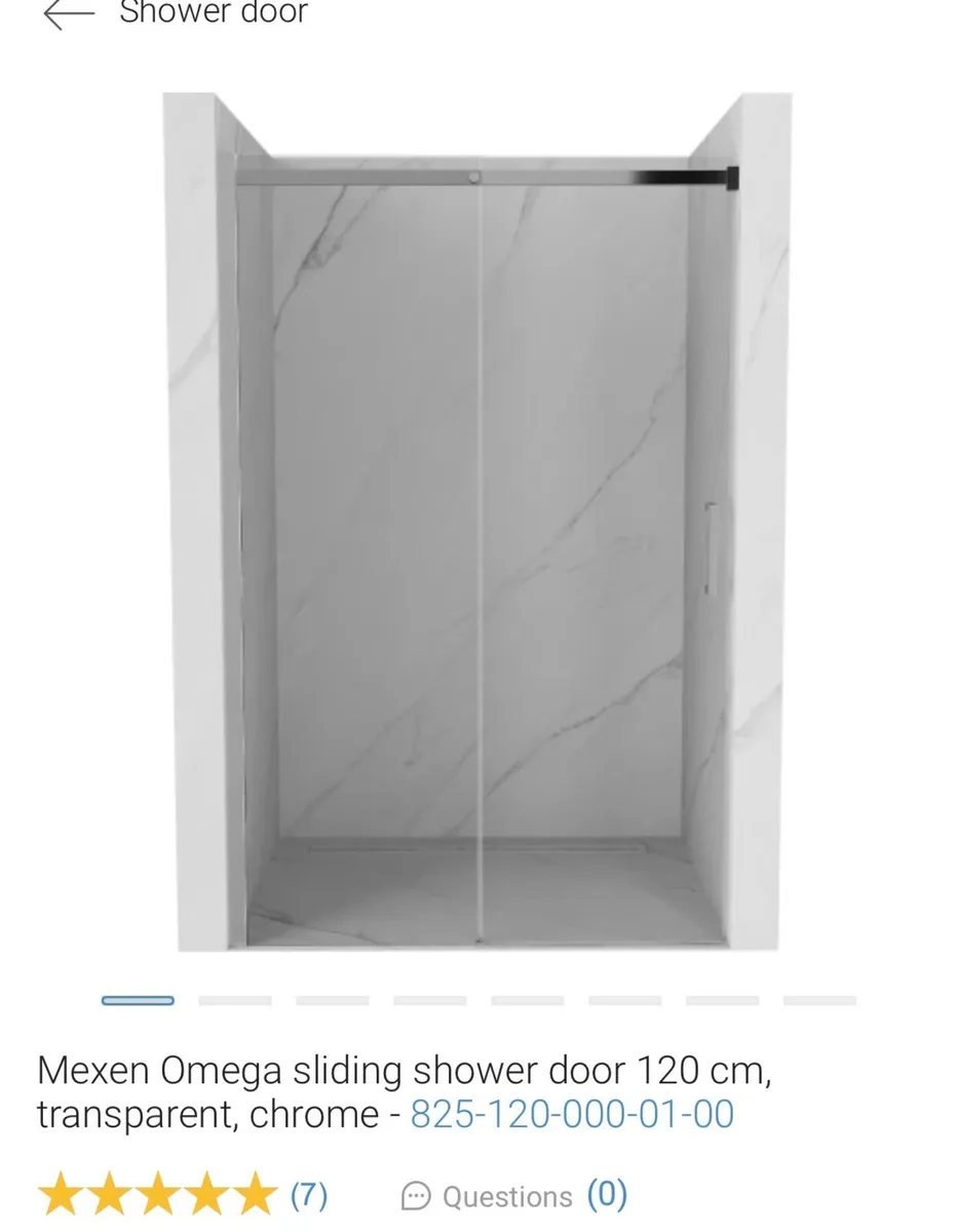 Chrome Shower Door - Image 1