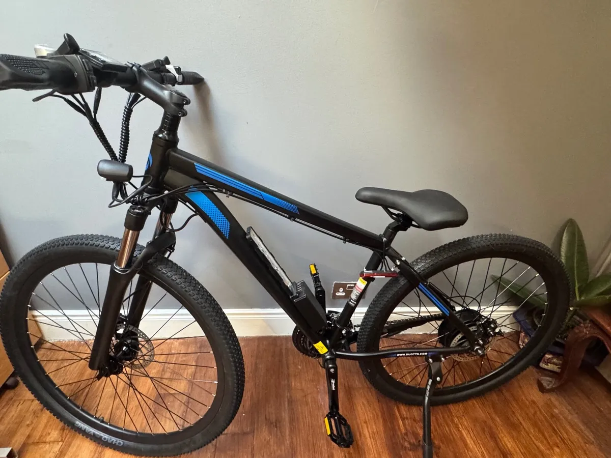 Electric bike - Image 1