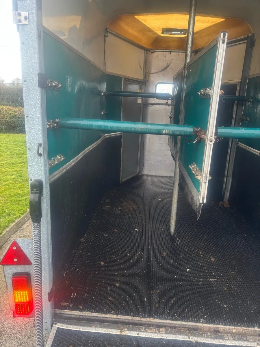 HB505 Iforwilliams - Image 4