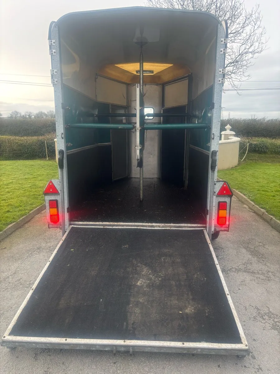 HB505 Iforwilliams - Image 3