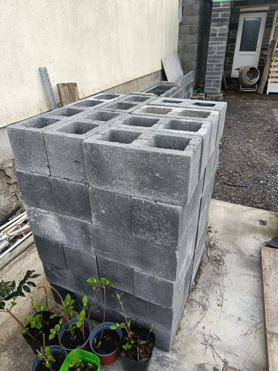 9" Cavity Blocks