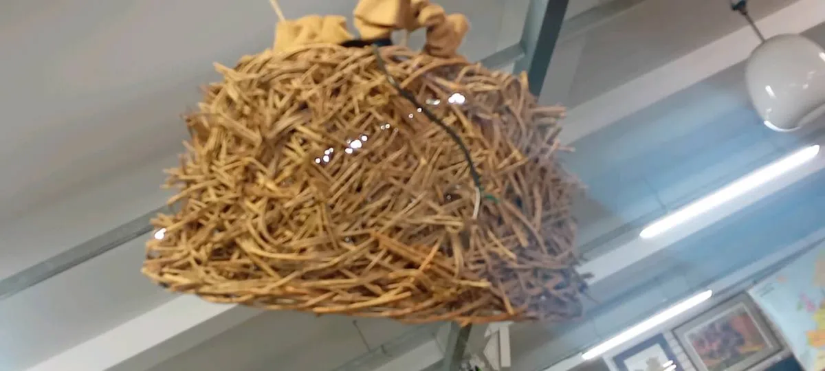 Modern Tossed Wicker Light Fitting - Image 1