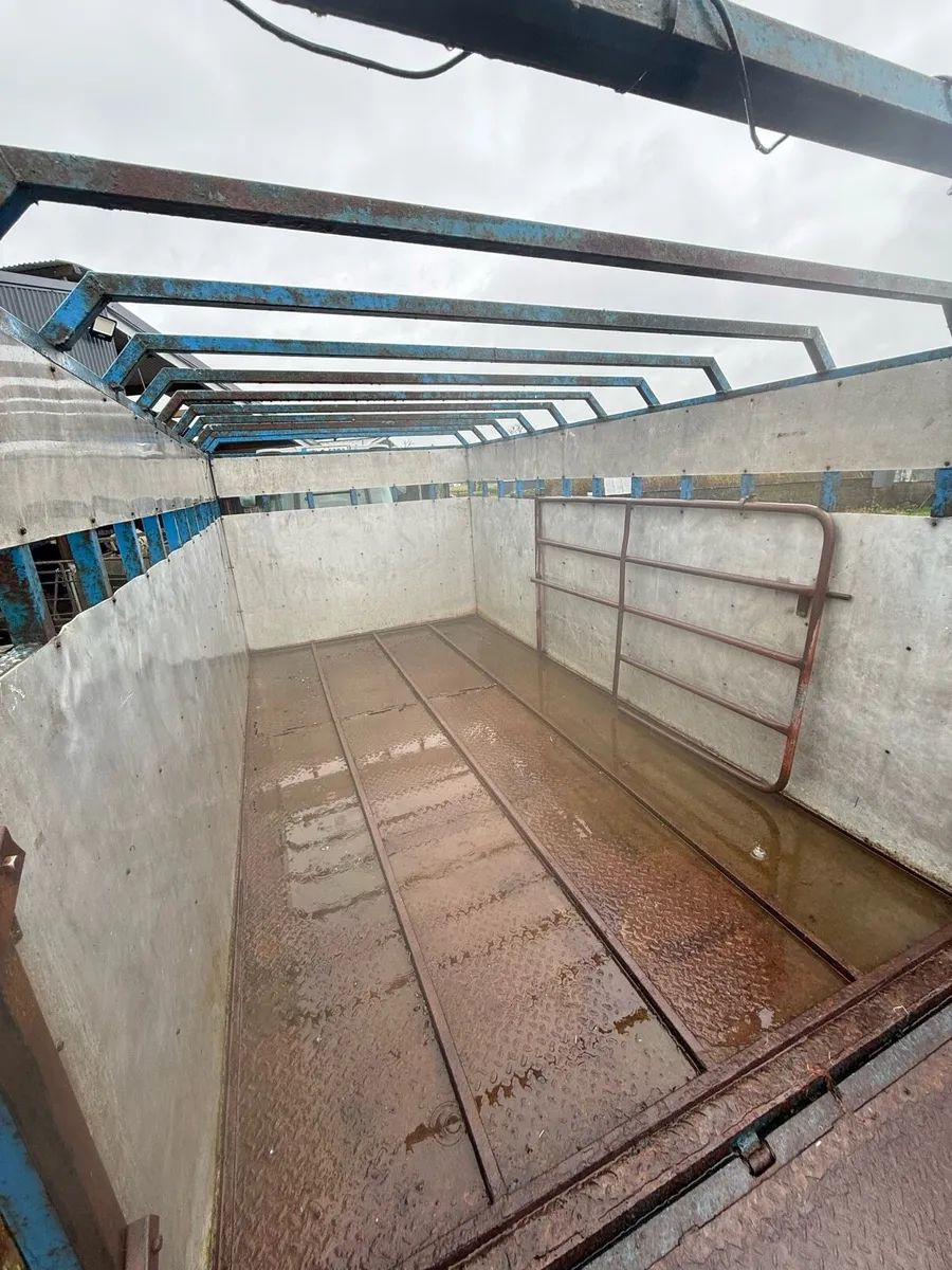 Dalton Cattle trailer - Image 4