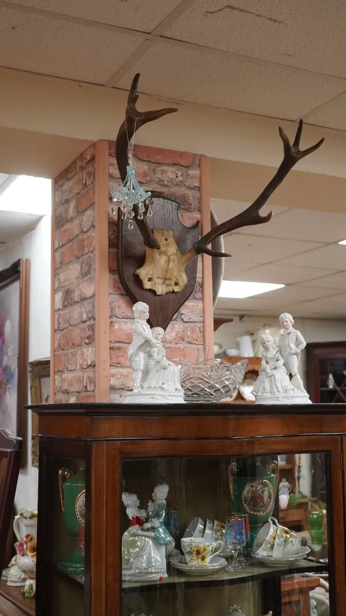 French Oak Antler Wall Mount - Image 2