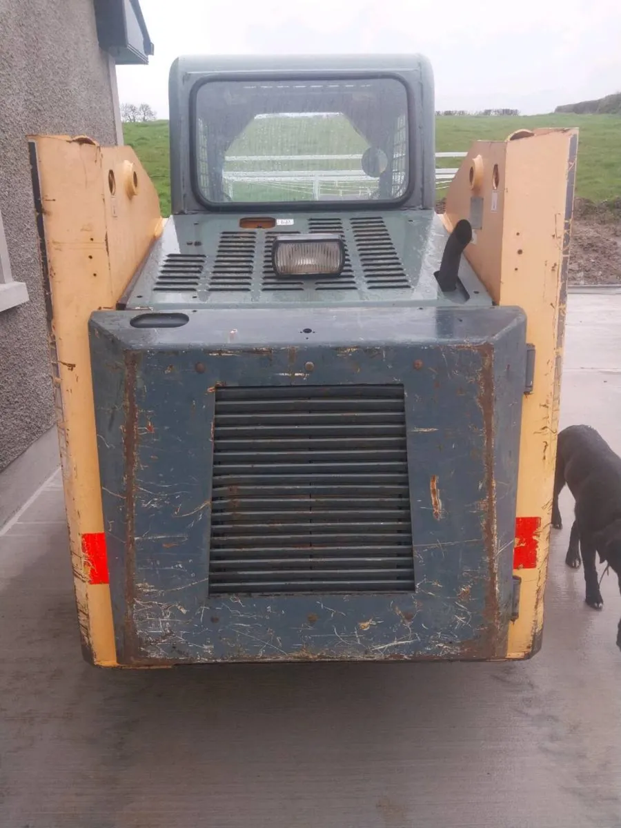 Mustang 2054 - Image 3