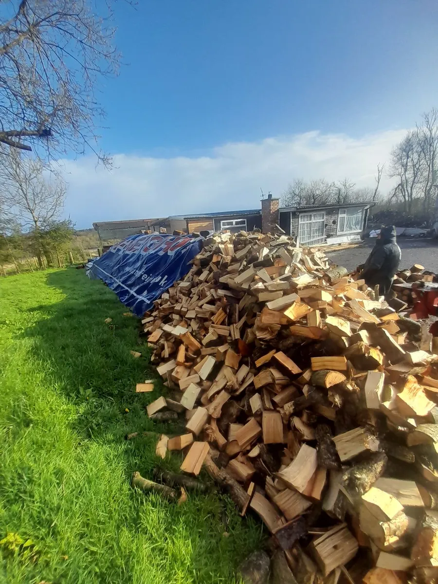 Firewood - Image 1