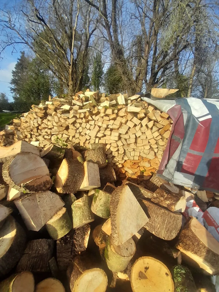 Firewood - Image 2