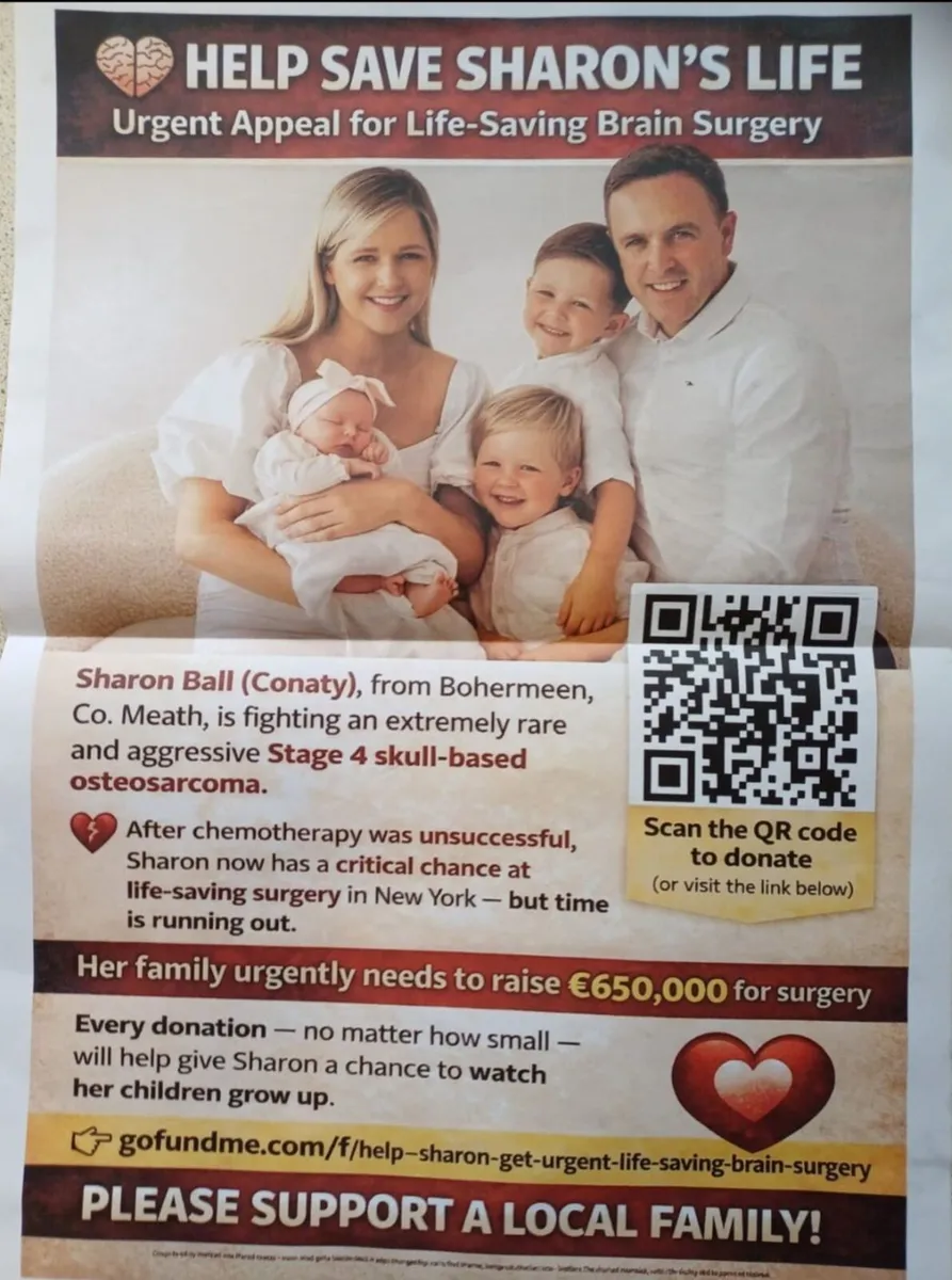 Meath Motor Show Teltown Co. Meath - Image 2