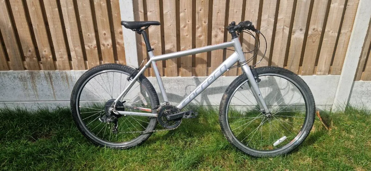 Carrera ( serviced )( delivery ) - Image 1