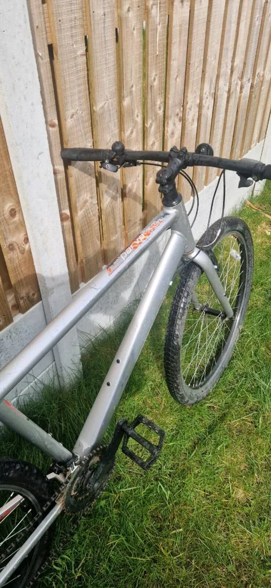 Carrera ( serviced )( delivery ) - Image 3