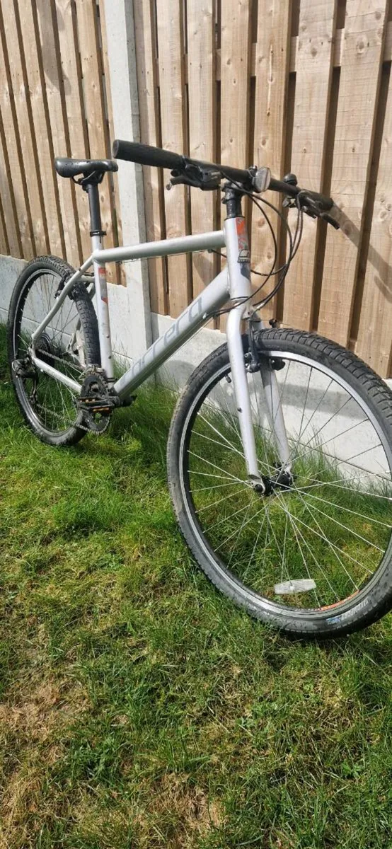 Carrera ( serviced )( delivery ) - Image 2