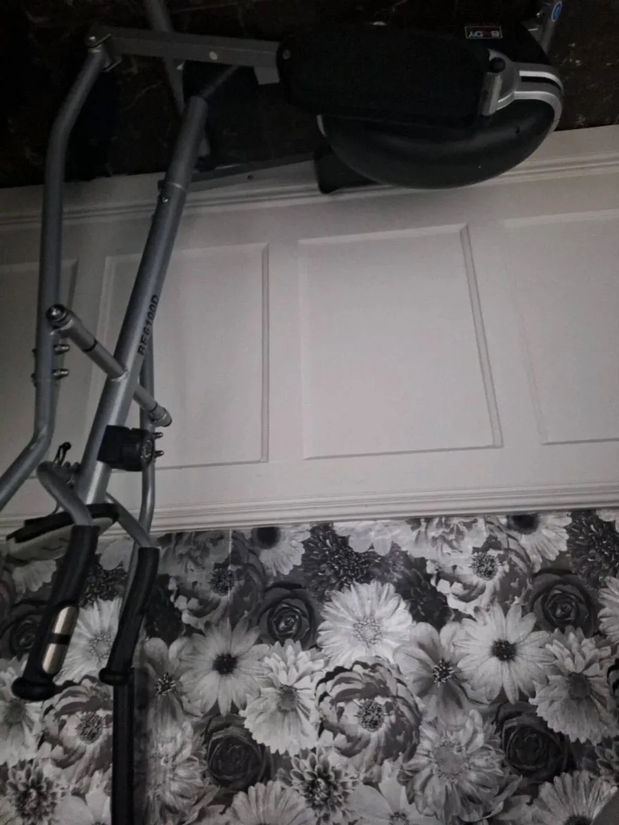 Elliptical  Straider - Image 2