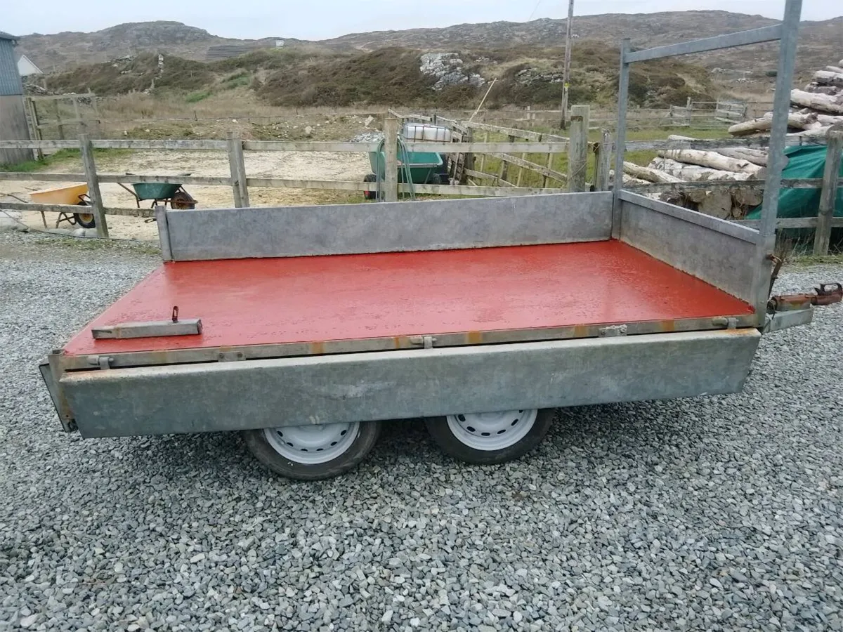 Builder's Trailer for sale - Image 3