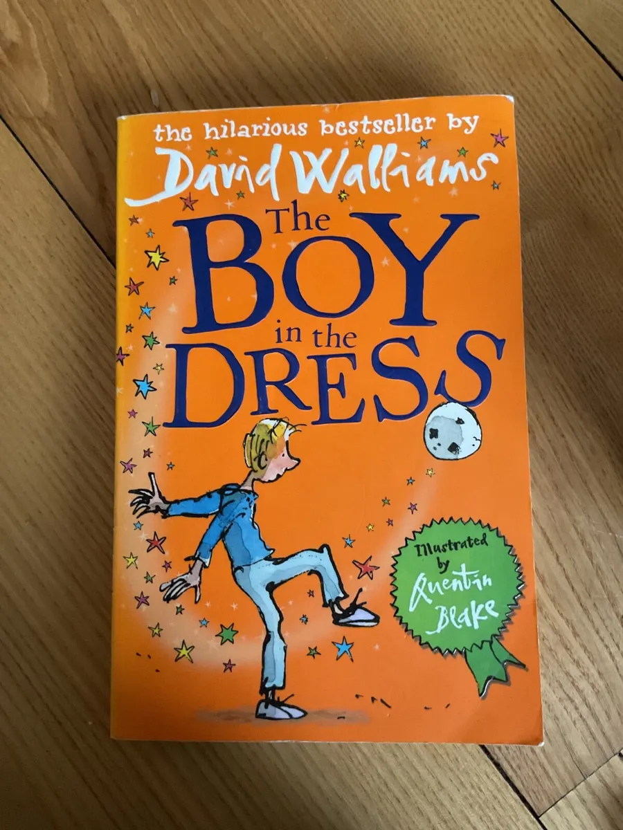 David Walliams The Boy in the Dress