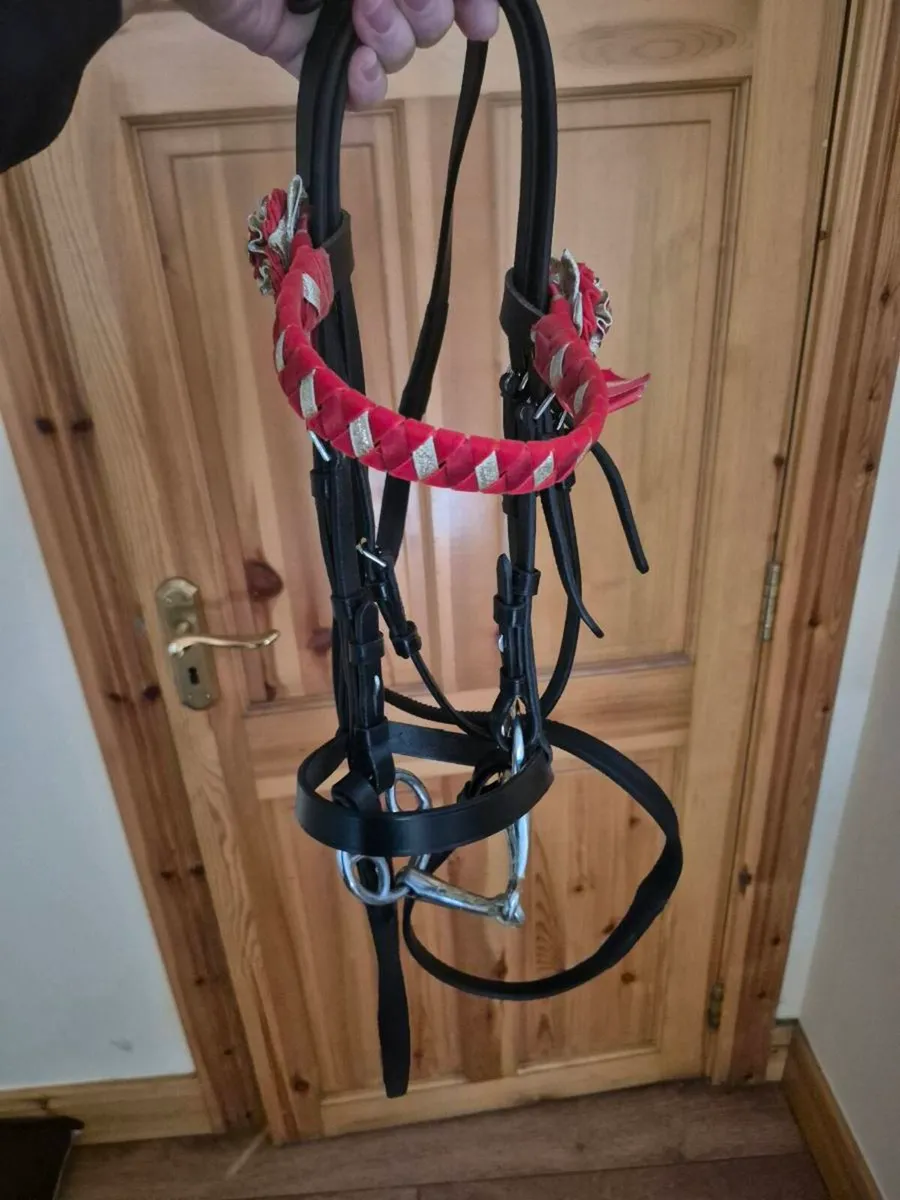 Norton 15 Inch Saddle and Small Pony Bridle - Image 4