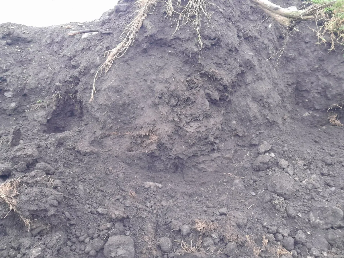Free - Top soil - Image 2