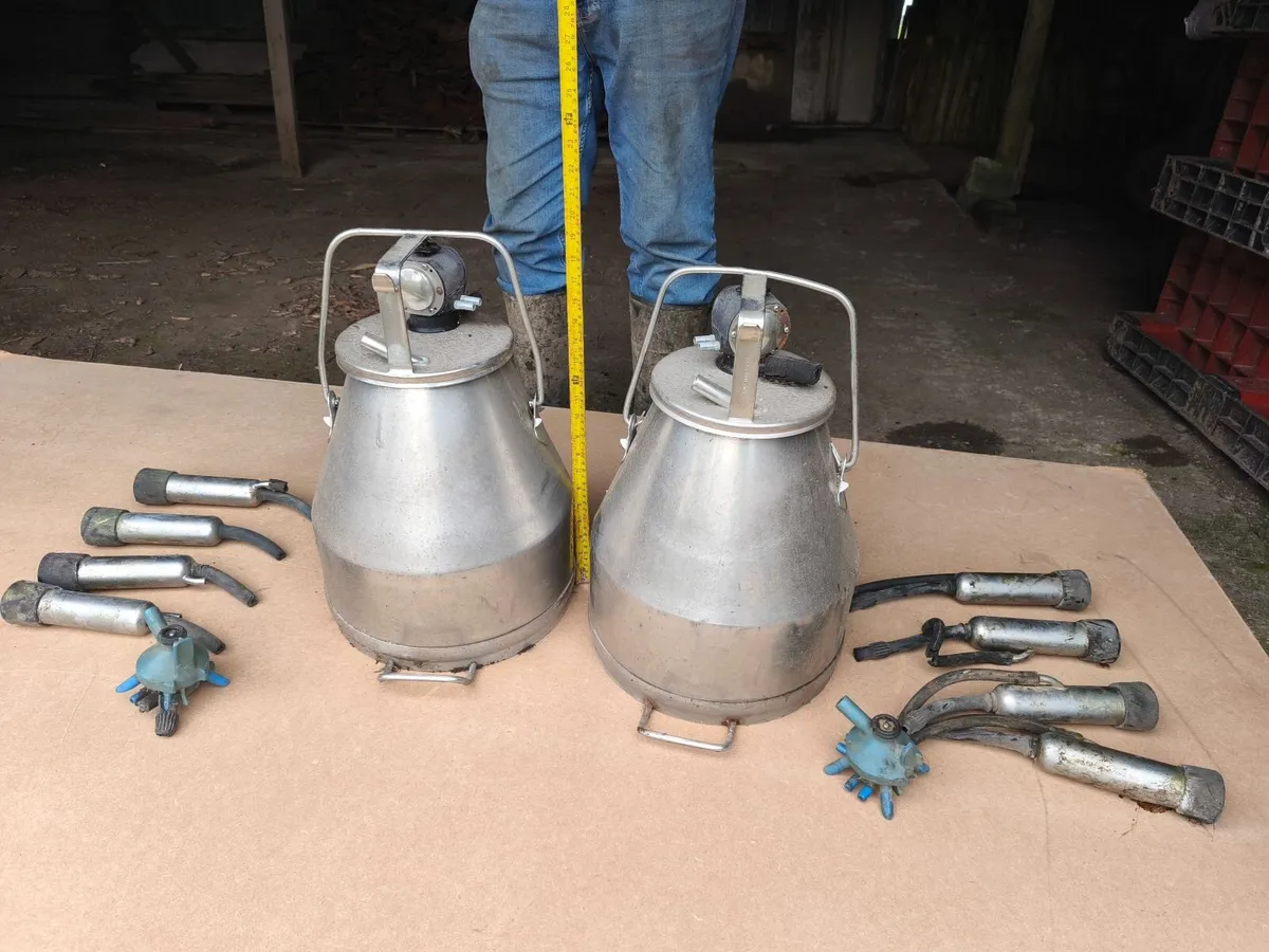 2 Stainless Steel Milking Buckets - Image 1