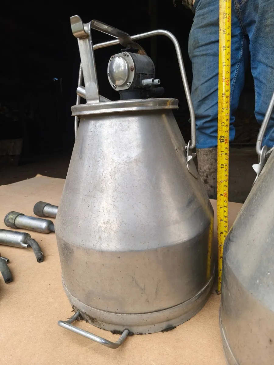 2 Stainless Steel Milking Buckets - Image 2