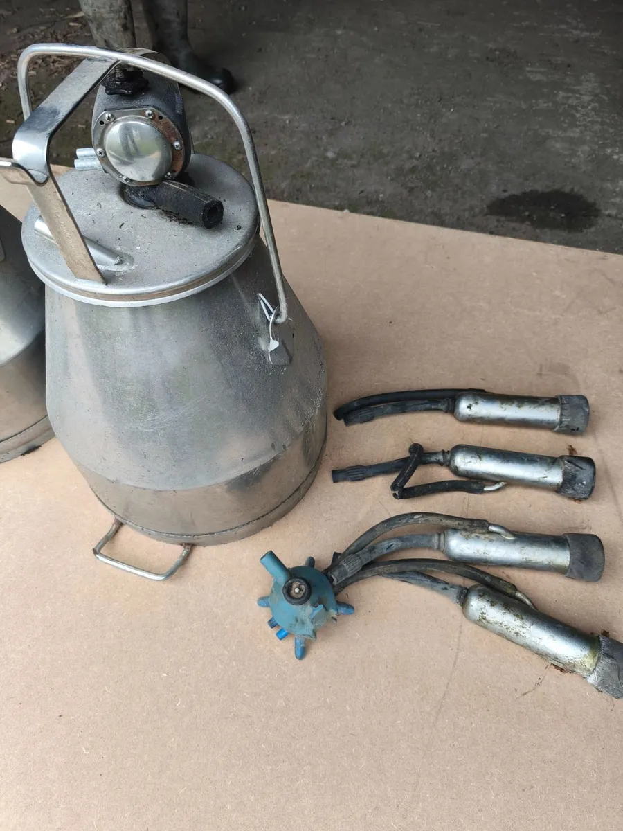 2 Stainless Steel Milking Buckets - Image 4