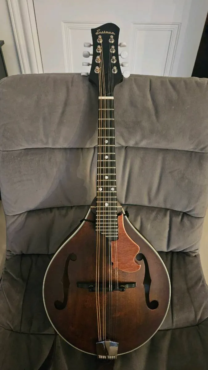 Mandolin - Image 1