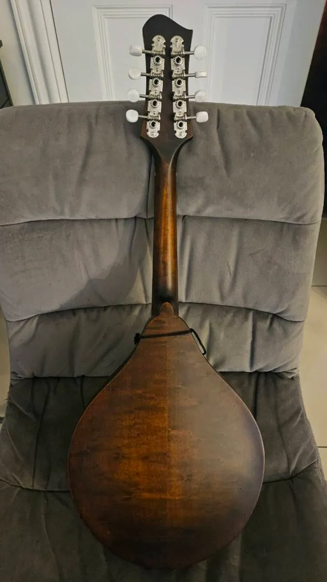 Mandolin - Image 3