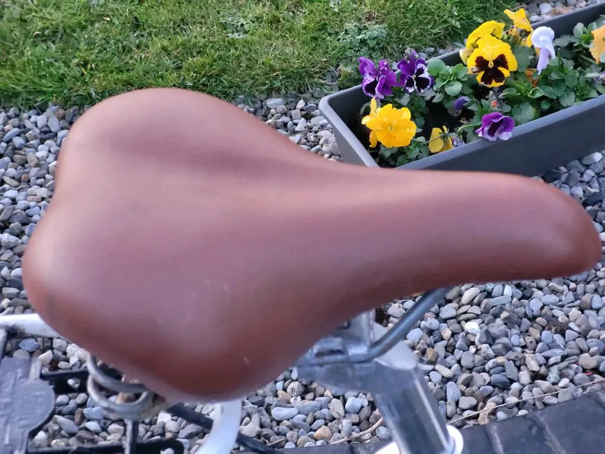 CHEAP LADIES INEXPENSIVE RUNAROUND BIKE - Image 2