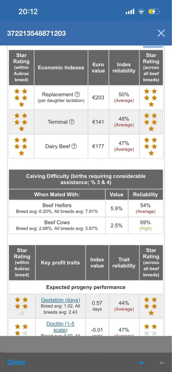 Deerpark Aubrac stock bull - Image 2