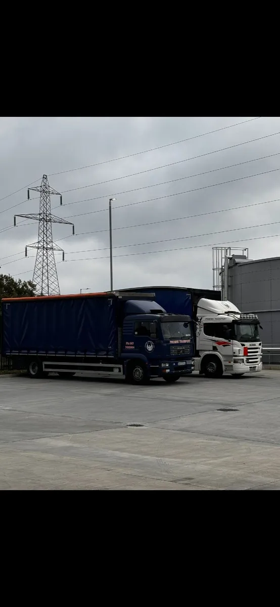 Man Other 2009 - Image 2