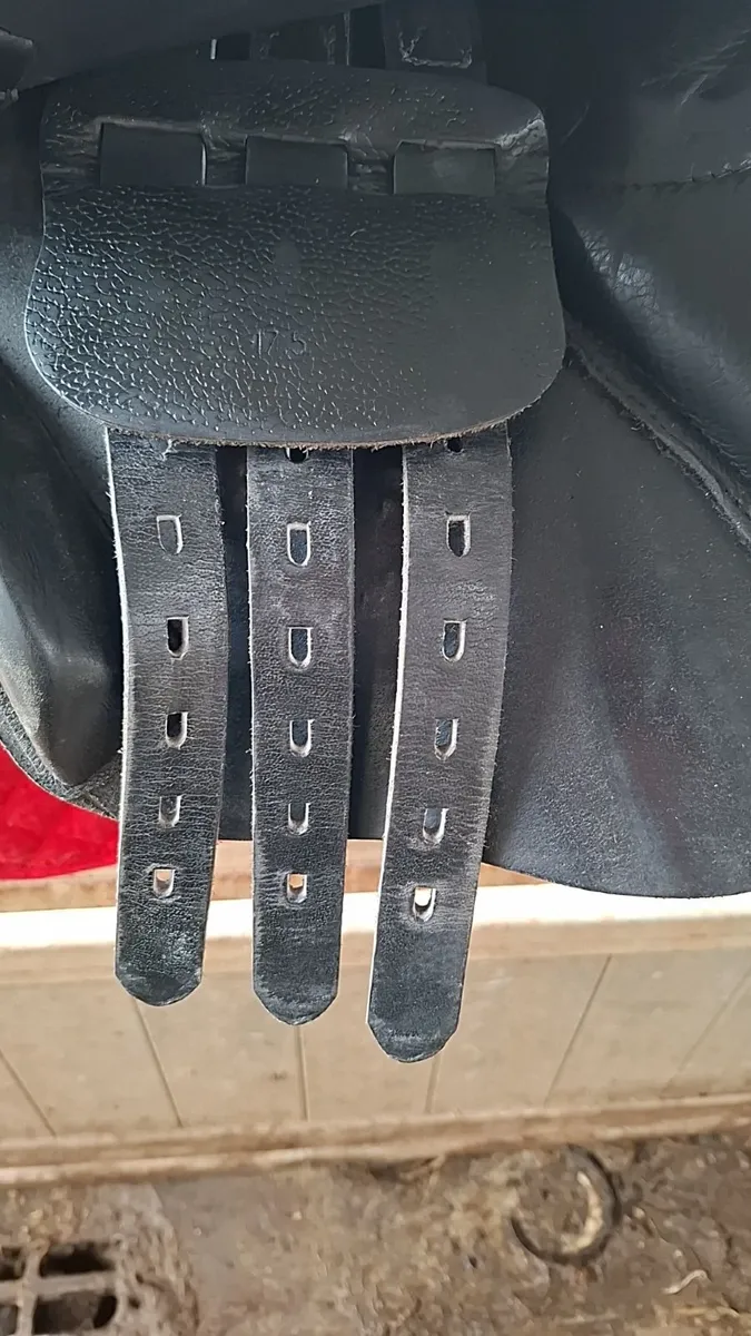 17.5 inch Saddle - Image 3