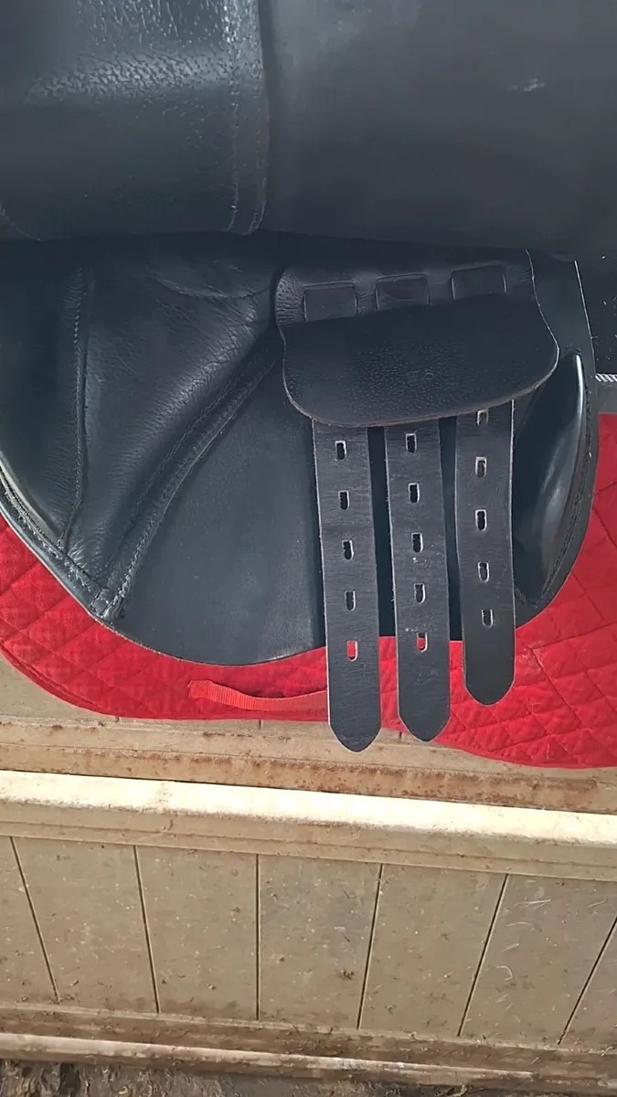 17.5 inch Saddle - Image 2