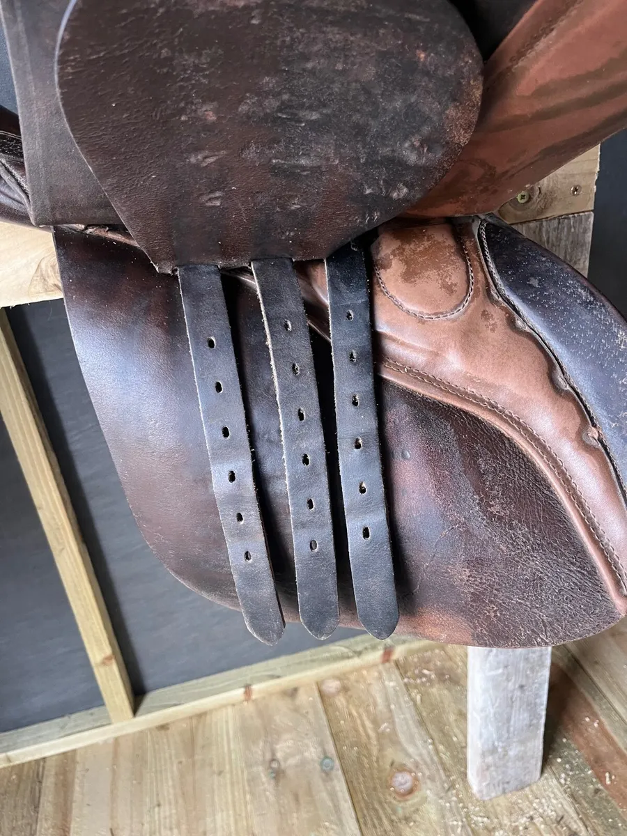 17” inch saddle - Image 4