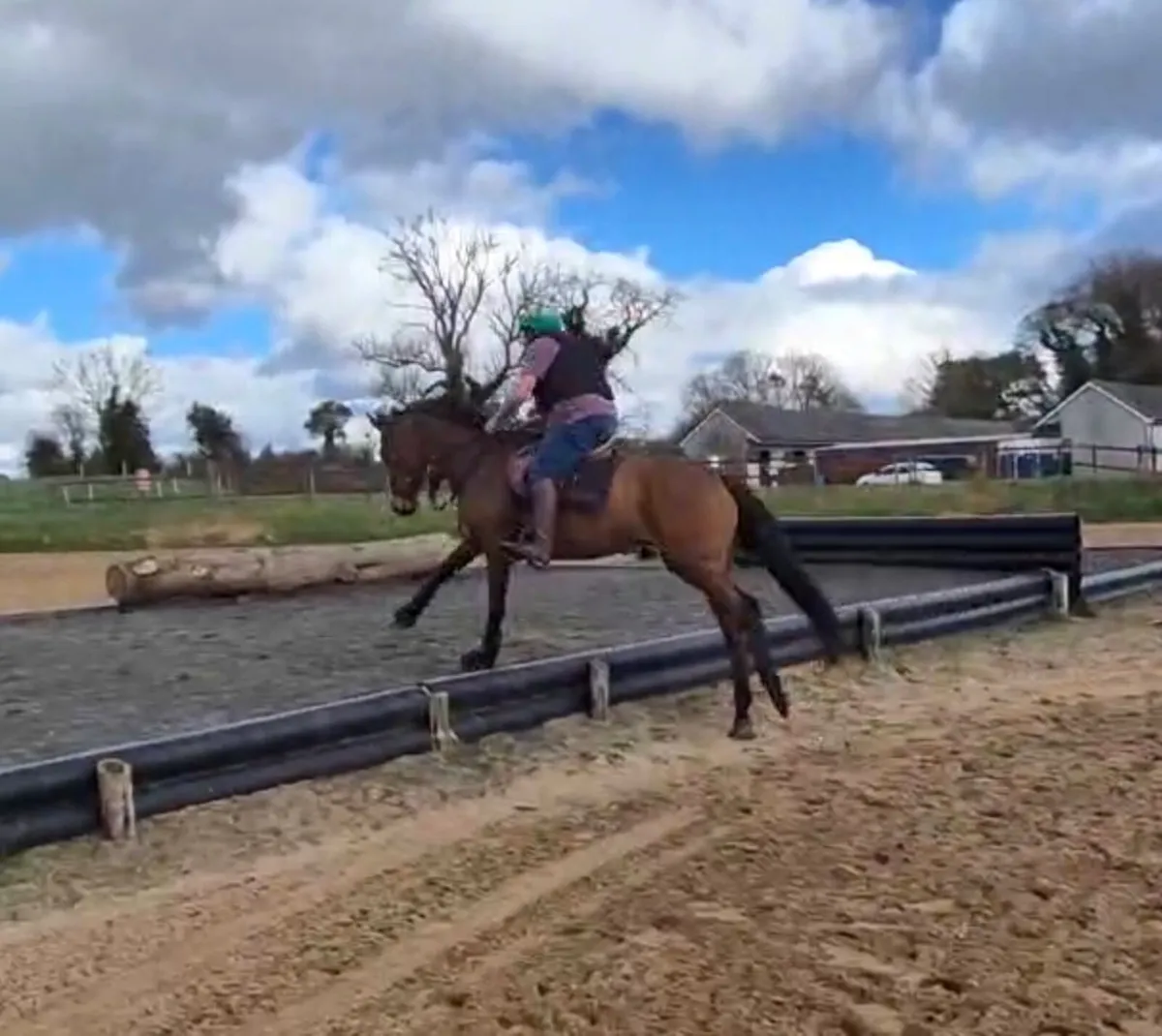 Beautiful 8-year-old mare - Image 2