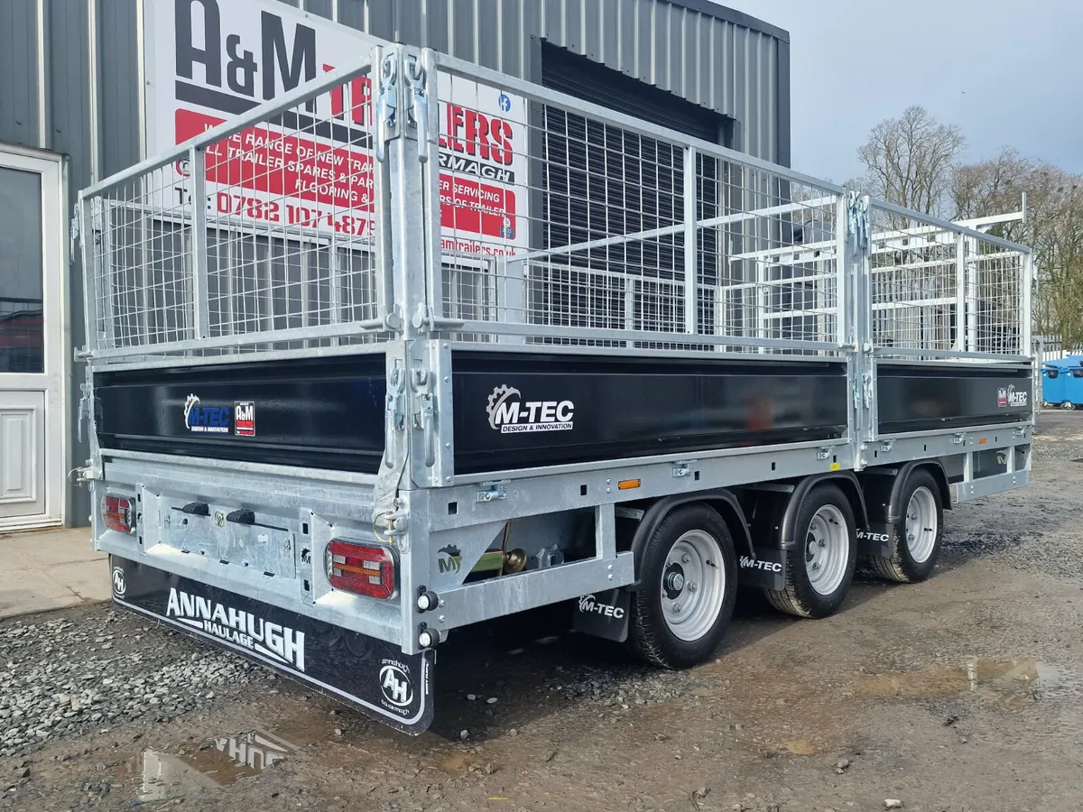 M-Tec flatbed trailer - Image 2