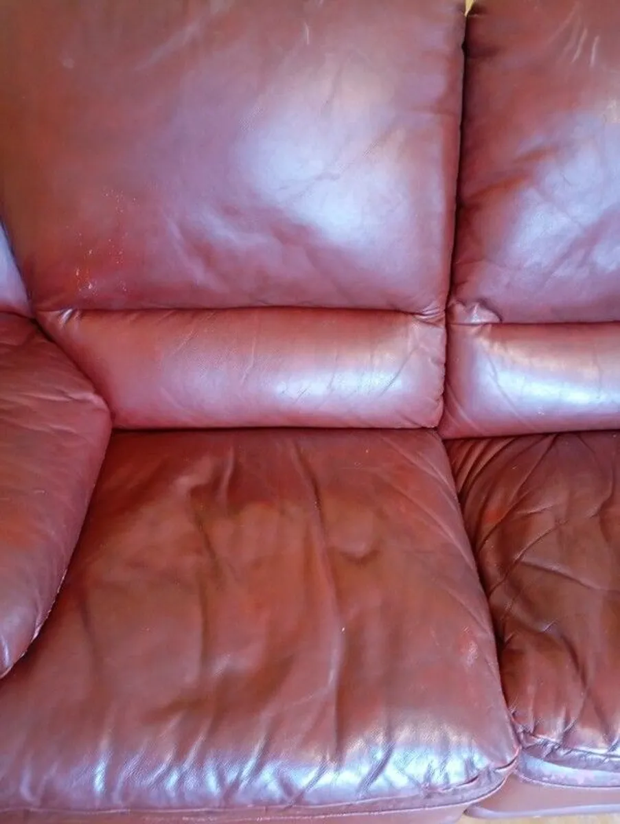couch - Image 4