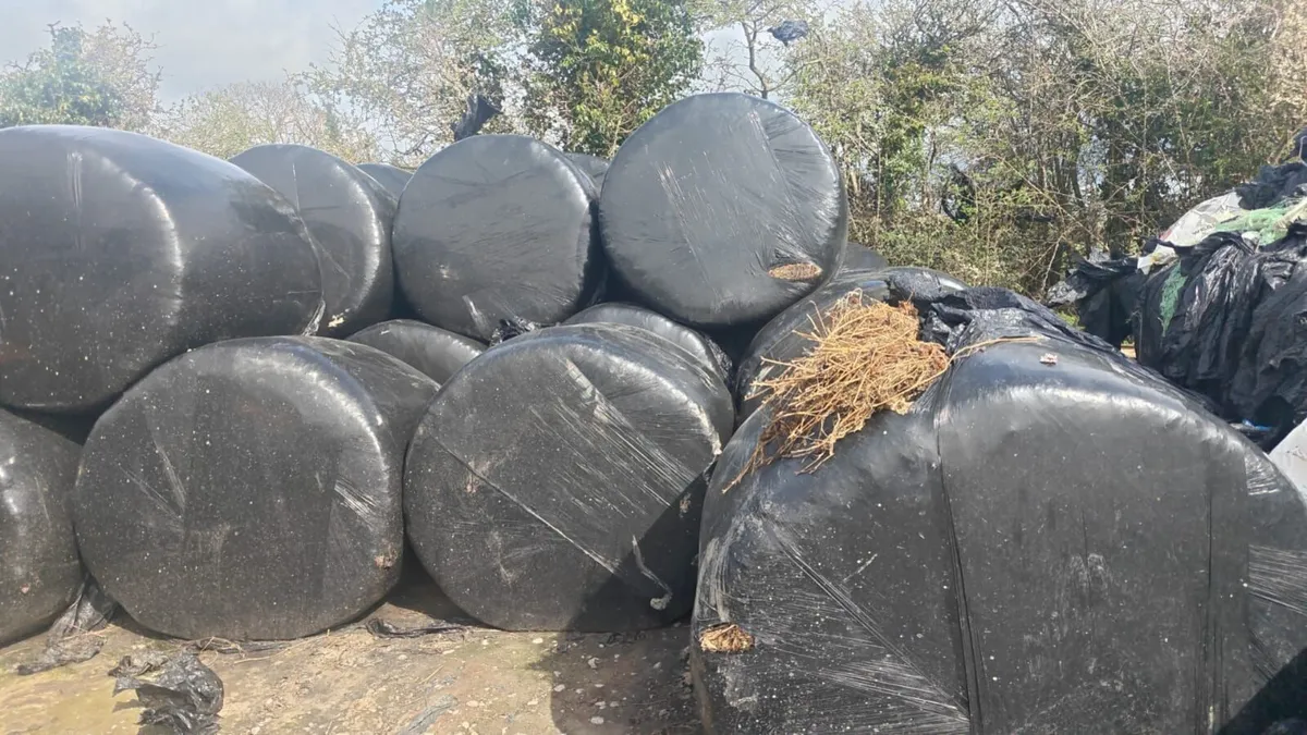 Silage bales and straw bales - Image 1