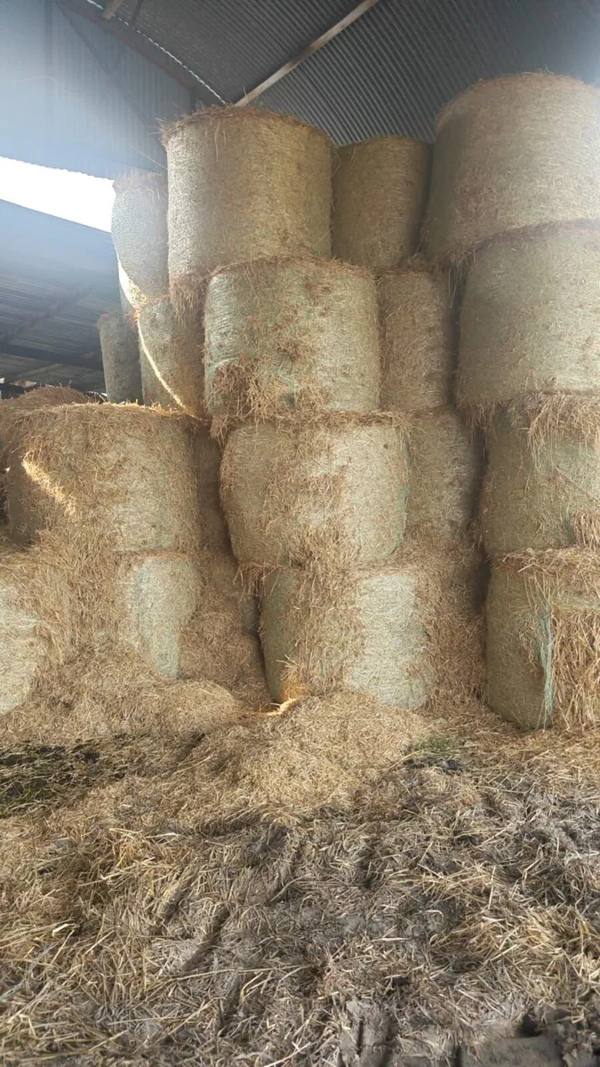 Silage bales and straw bales - Image 2