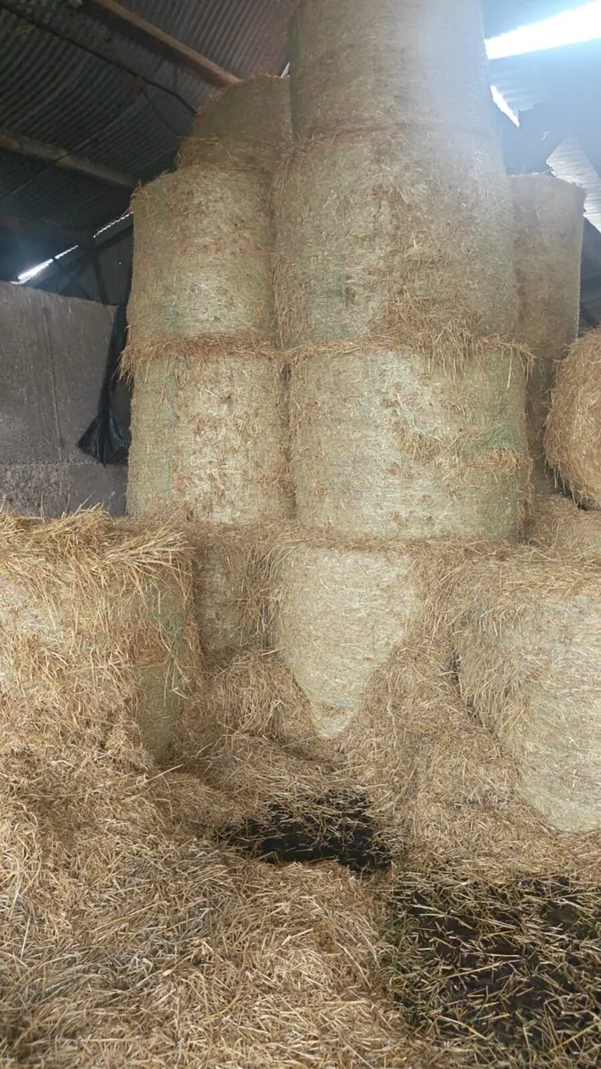 Silage bales and straw bales - Image 3