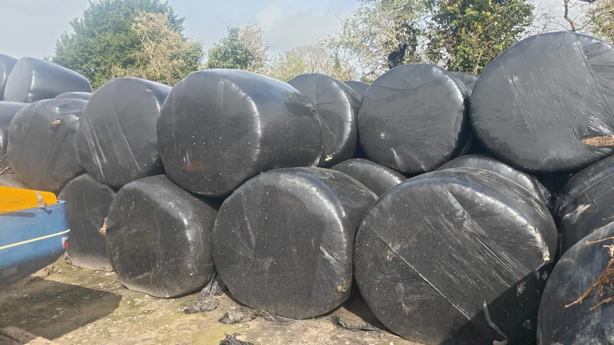 Silage bales and straw bales - Image 4