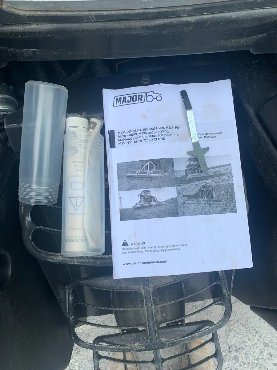 Major cyclone - Image 4