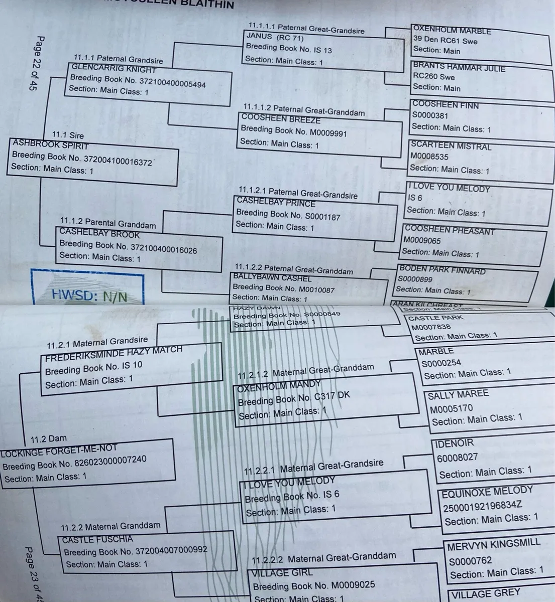 🌟138 REG Connemara🌟 - Image 3