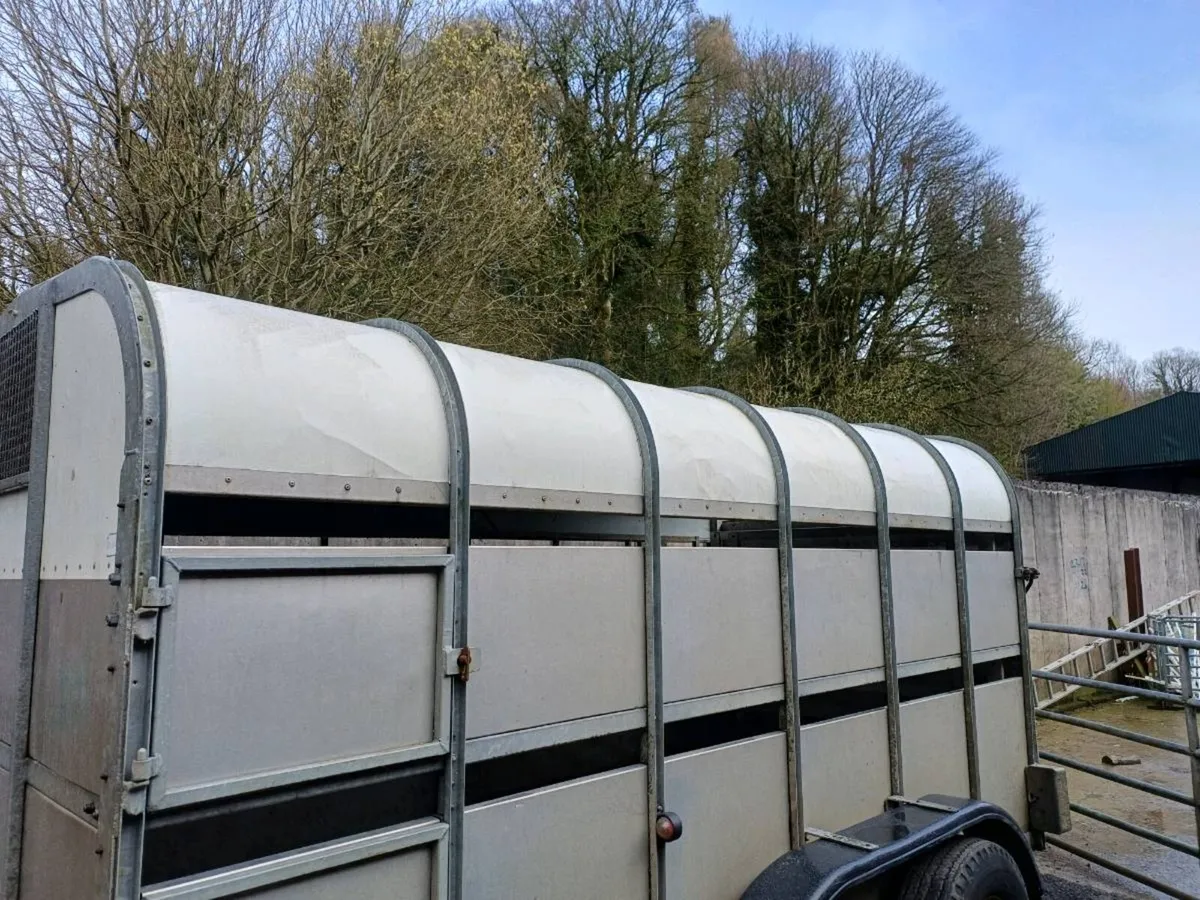 Nugent 12ft cattle trailer - Image 3