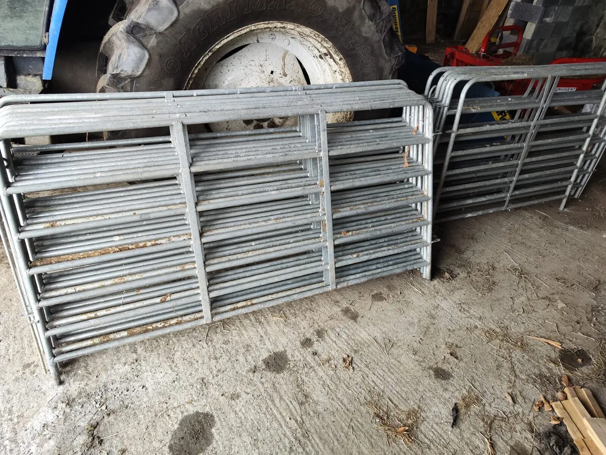 Sheep gates - Image 1