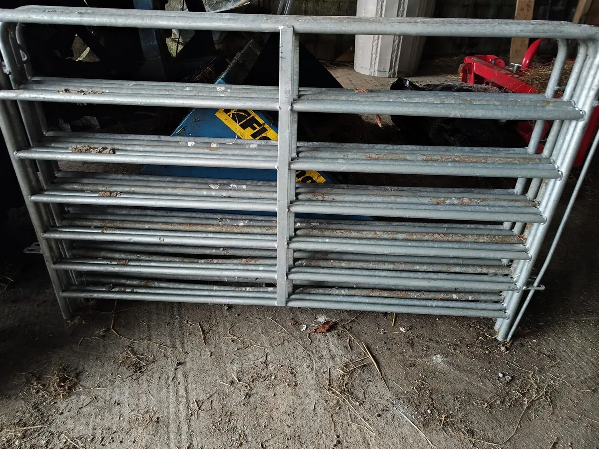 Sheep gates - Image 3