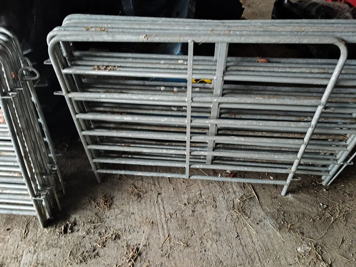 Sheep gates - Image 2