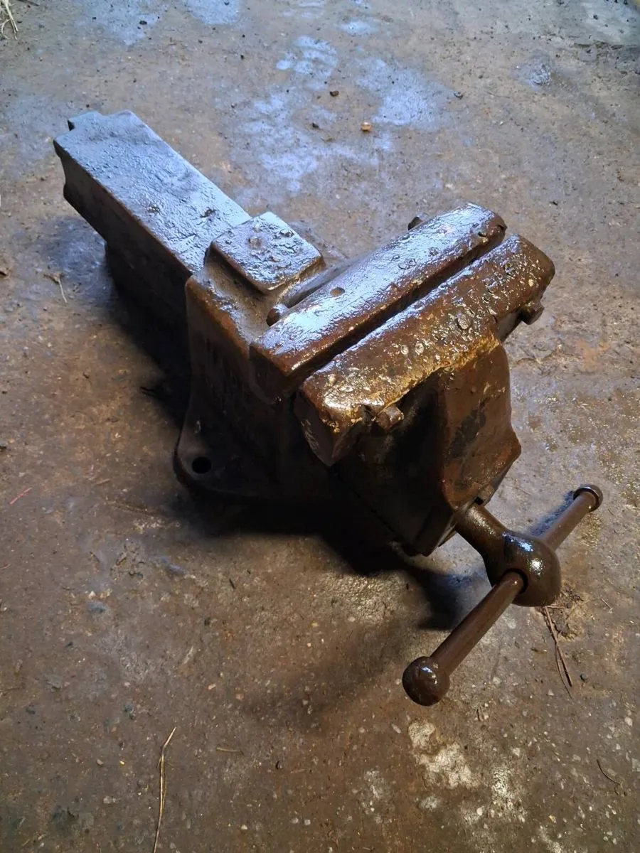 Record 114 Vice - Image 1