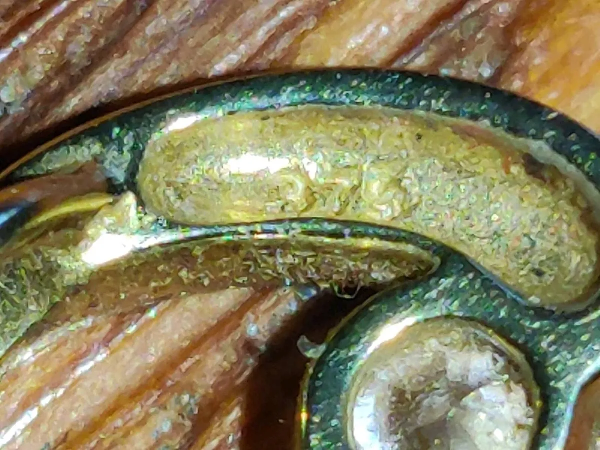 GEOMETRY BELCHER, 9CT Yellow Gold 18"New Necklace - Image 3