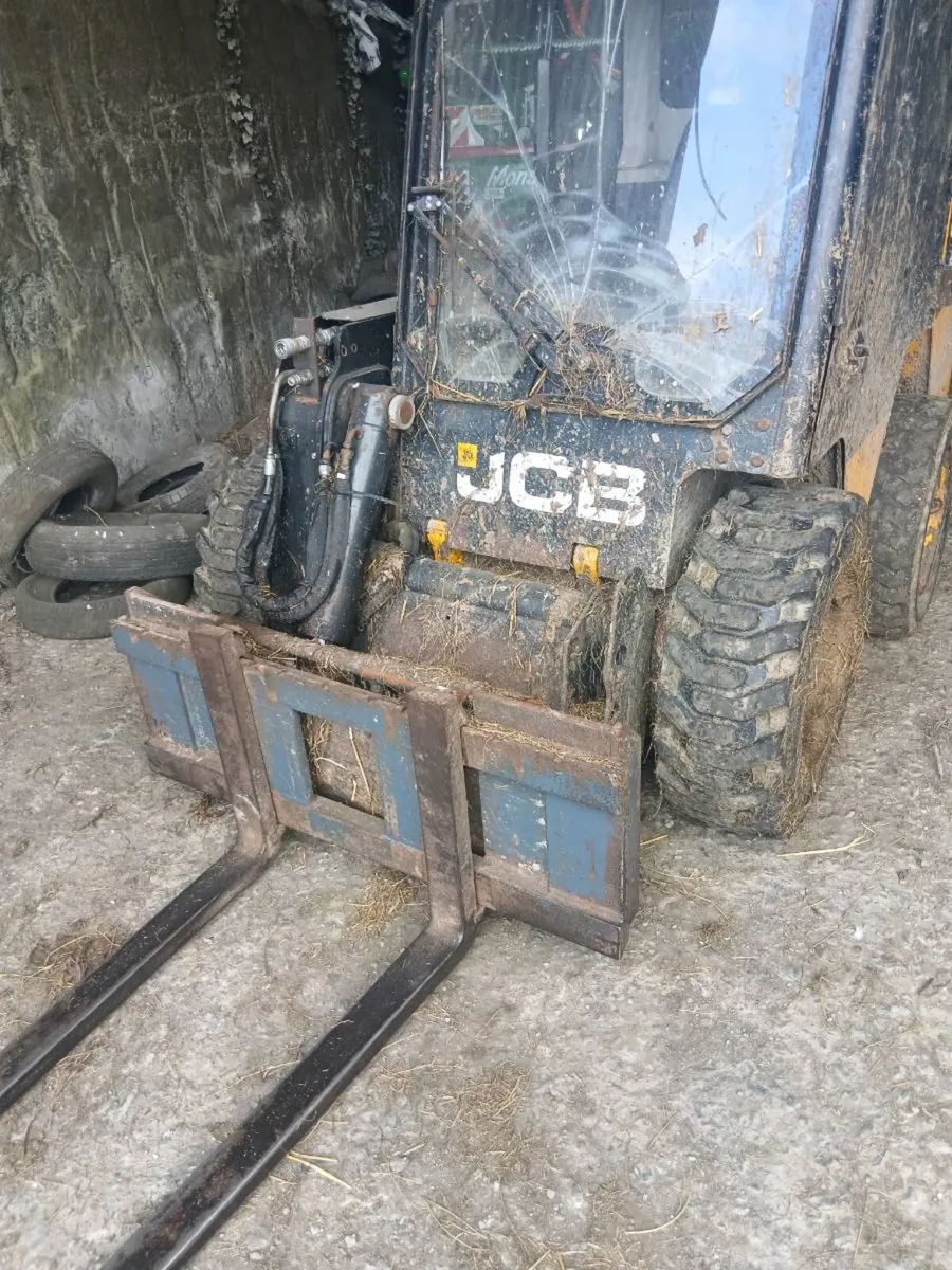 Jcb 175 bobcat - Image 1