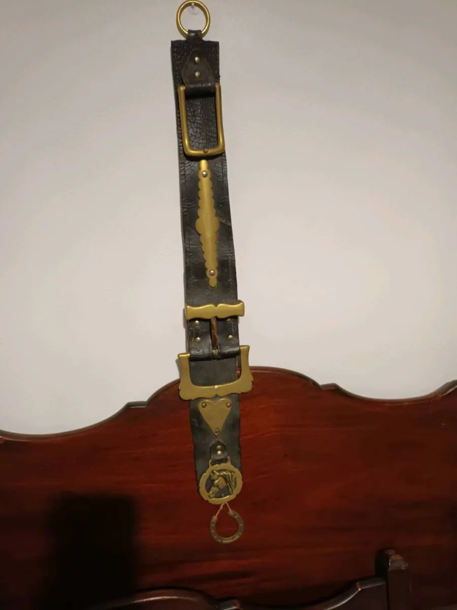 Decorative Horse Belt